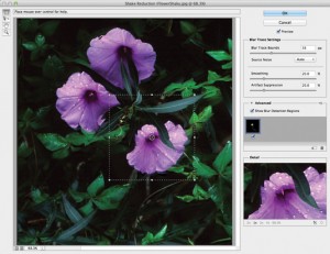 Camera shake reduction