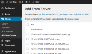 Screenshot of the WordPress "Add From Server" interface, showing file selection options within a specified directory.